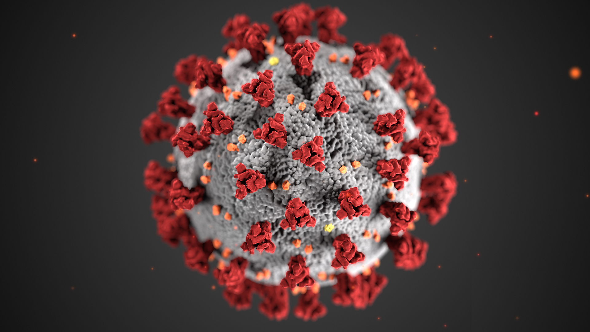 Coronavirus Cell image via https://livescience.com